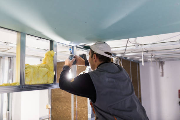 Types of Insulation We Offer in Platte City, MO