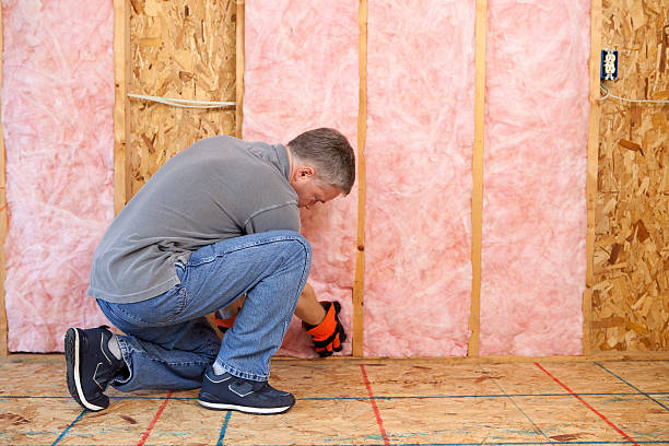 Best Fiberglass Insulation in Platte City, MO